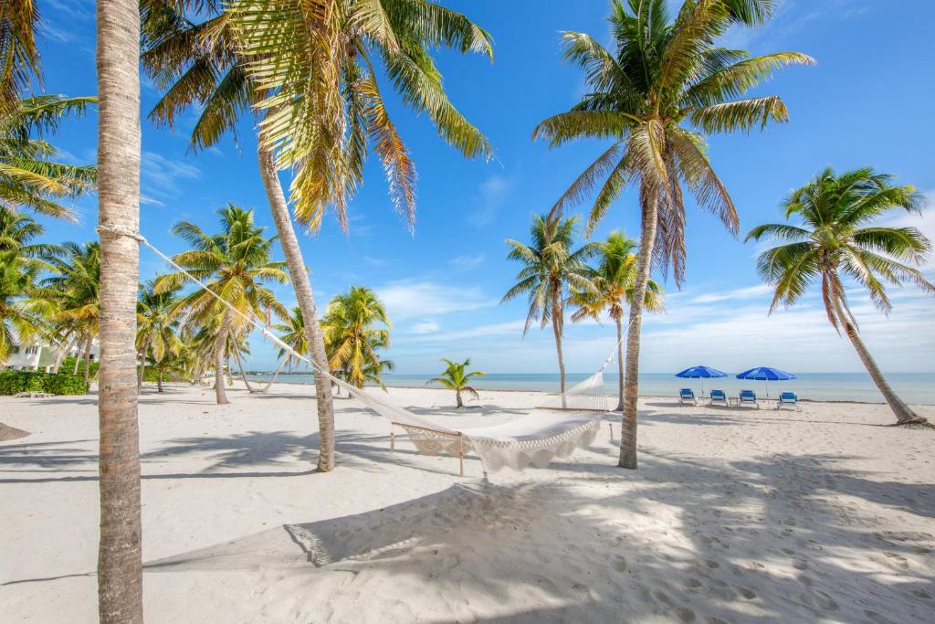 Paradise Beach - Crystal clear waters and white sand beach perfect for families